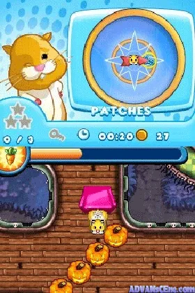 Zhu Zhu Pets 2 - Featuring the Wild Bunch (USA) (En,Fr) (NDSi Enhanced) screen shot game playing